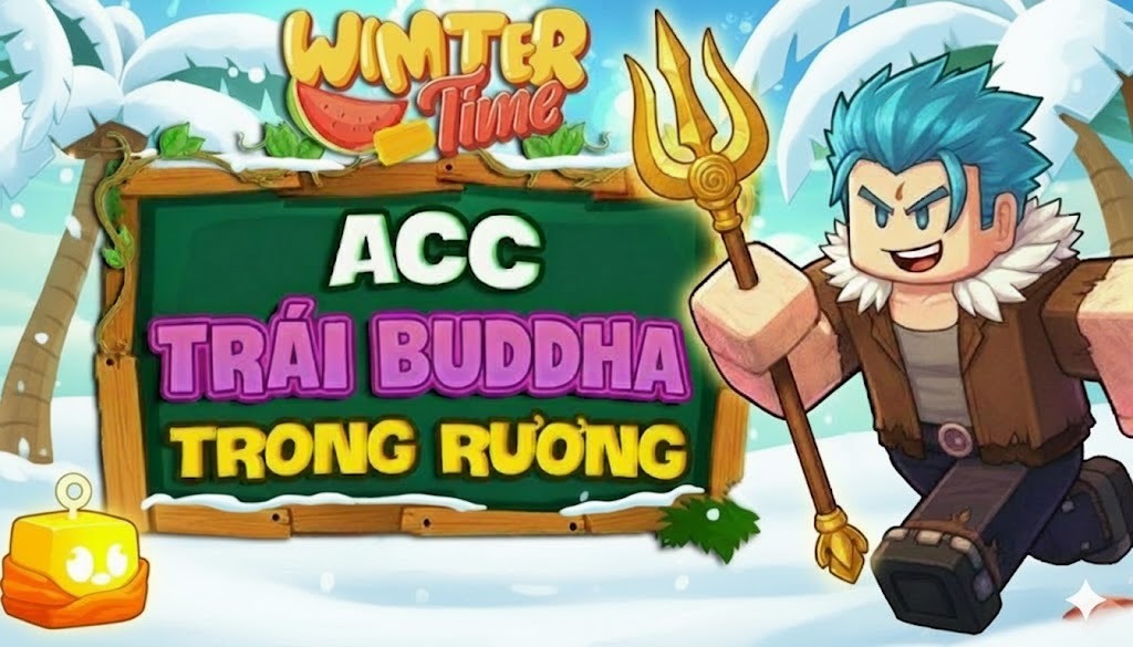 ACC 100% CÓ TRÁI BUDDHA